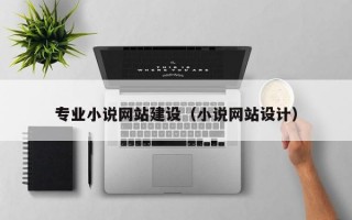 专业小说网站建设（小说网站设计）