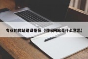 专业的网站建设招标（招标网站是什么意思）